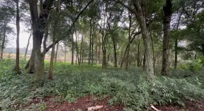 Chacrinhas à venda próx ao aeroporto