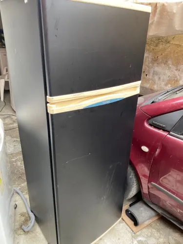 Geladiera consul