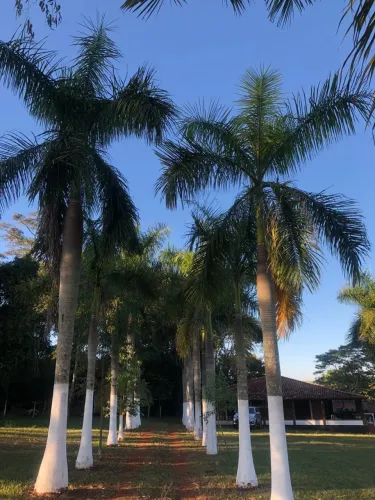 Lindo rancho