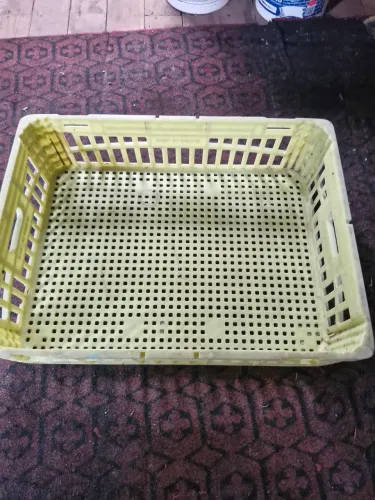 Basquete grande para frutas 