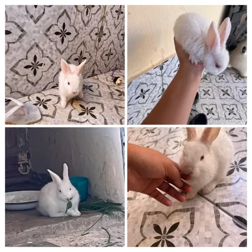 Estou vendendo 45$