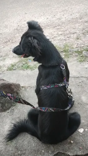 Doação