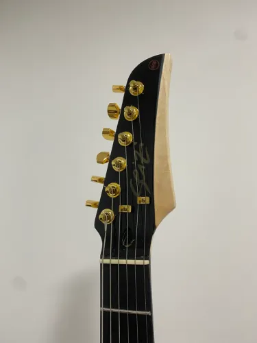 Guitarra Seizi musashi black gold
