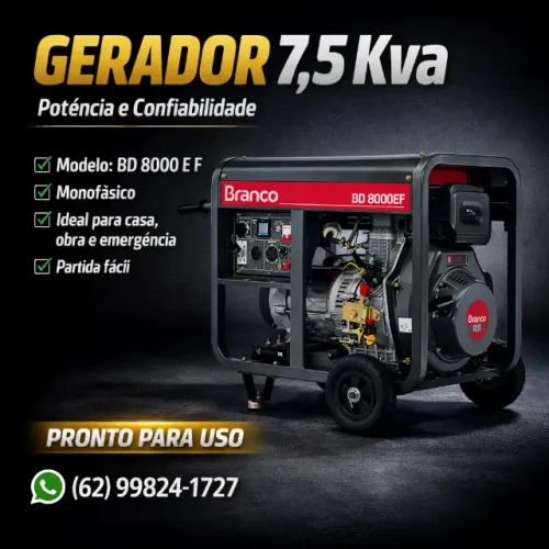 Gerador Branco Diesel Modelo BD 8000 EF mono 220v Apto Ats Novo com nota fiscal