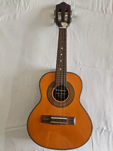 Cavaquinho com capa e palheta seminovo