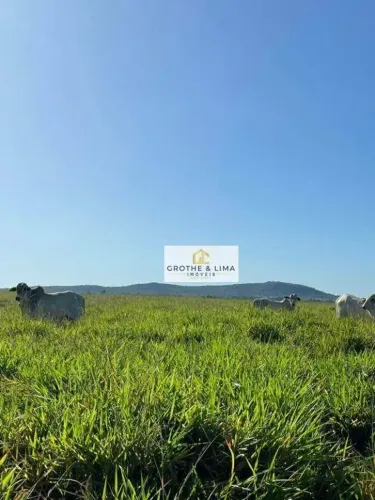 Fazenda de Dupla Aptidão à venda em Peixes/TO.