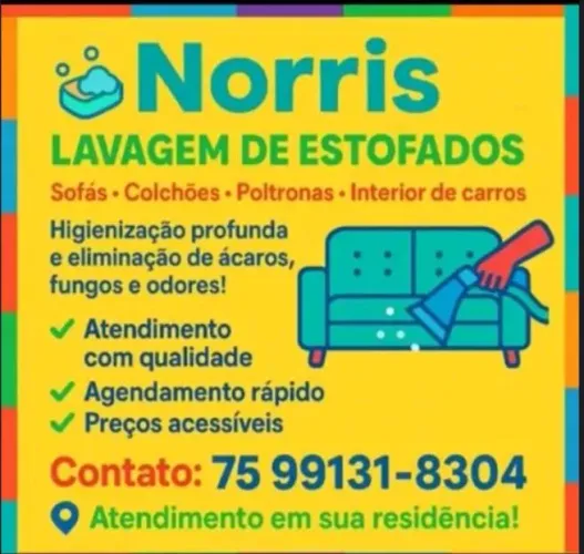 Lavagem a seco