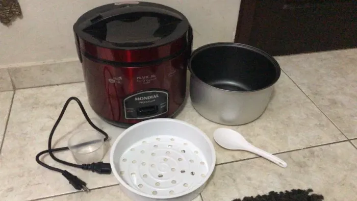 Panela Elétrica Mondial Premium 10Litros 700w Completa Seminova