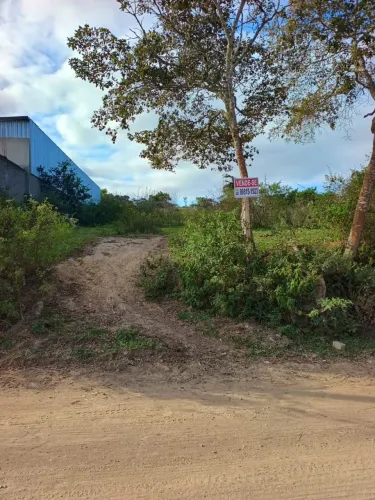 Terreno para Mini chácara ou galpão de empresa no Virgem Santa
