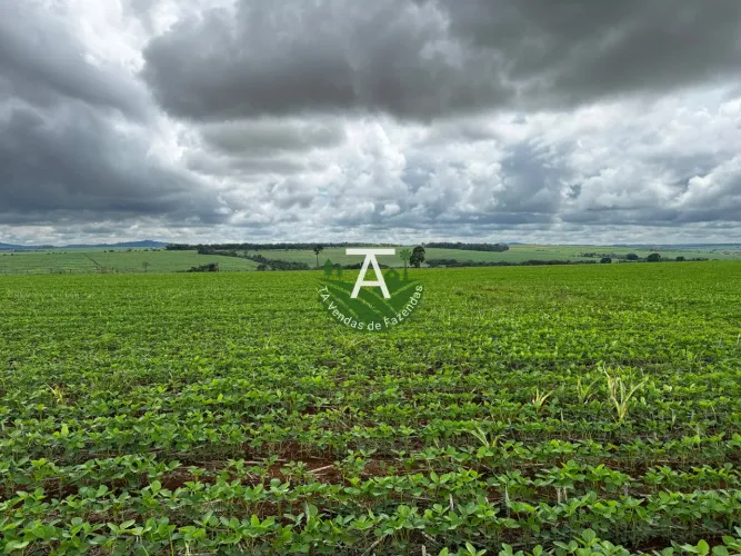 Fazenda de 31,5 alq em Itaberai GO