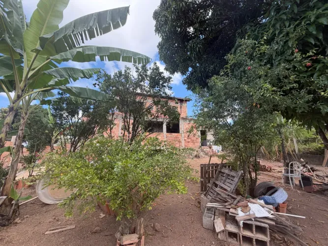 JABOTICATUBAS com prestações 952,00