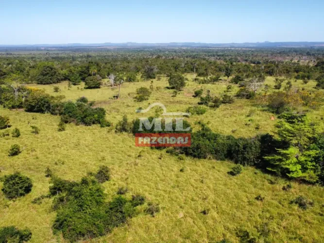 Fazenda 99 Alqueires (479 hectares) Araguaína - TO
