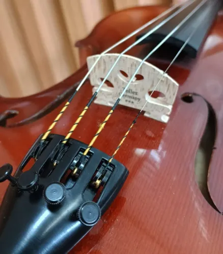 Violino alemão Karl hofner 2001 (soando muito)