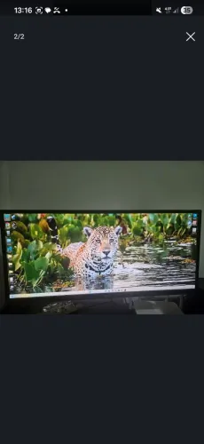 Monitor Lg 29 polegadas ultrawide + Braço articulado