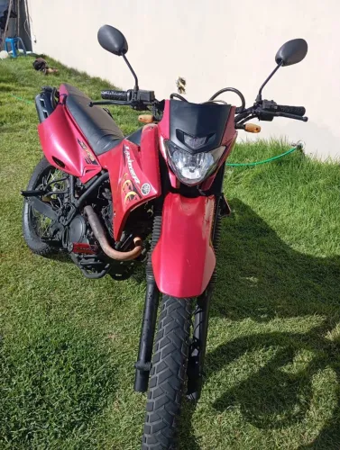 Lander 2008 zap *83