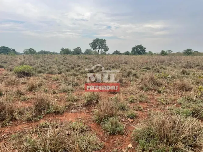 Fazenda 408 alqueires (1.976,16 hectares) Goianorte - To