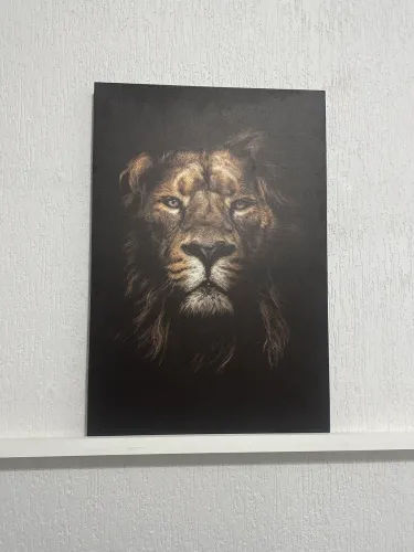 Quadro
