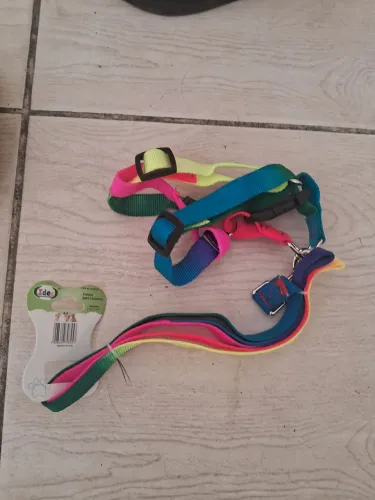 COLEIRA PARA CACHORRO