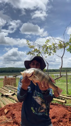 Lotes de 500m2 e 1000m2 a beira da represa de três Marias