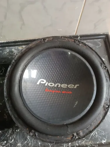 Cara preta 309