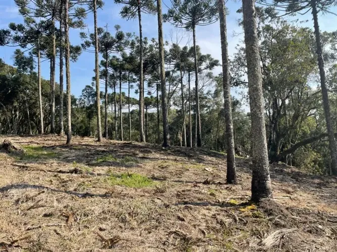 Chácara em Santa Tereza de 2 hectares Urubici/SC