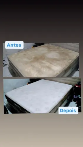Lavagem a seco e higienização  $100