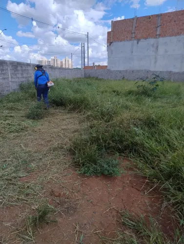 Limpeza de jardinagem 