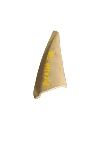 Moldura Interna Retrovisor Direito Xsara Picasso 2003 - Cinza