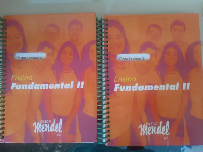Livros Didáticos 7º Ano Ensino Fundamental II - Colégio Mendel volume 6,7