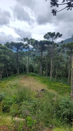Dois Lindos Sítios em Urubici - SC - 2 hectares / 5 hectares.