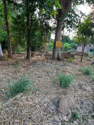 3 terrenos por 50 mil na comunidade perema 