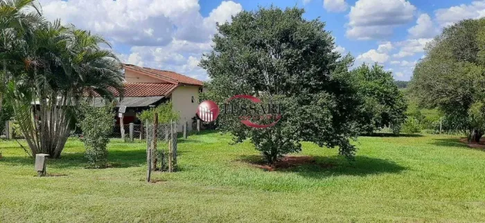Vende sítio em Bady Bassit 3,5 alqueires, com pasto e benfeitorias pronto para morar