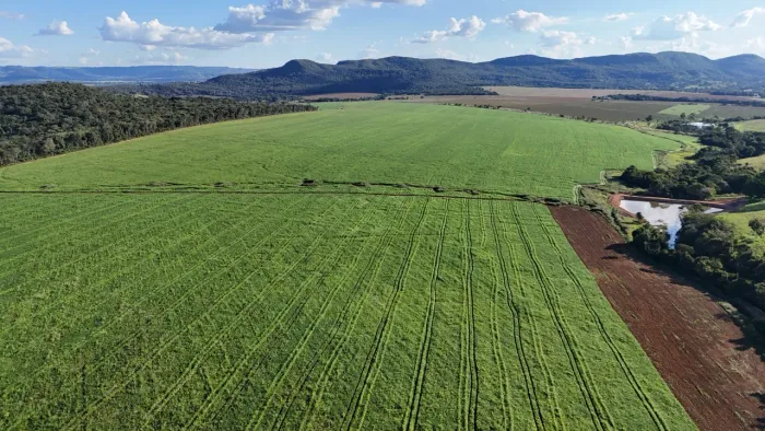 Fazenda agrícola (716 hectares) 148 alqueires 