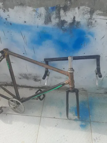 Caloi