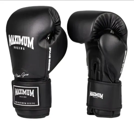 Kit Muay thai Luvas e Caneleiras 