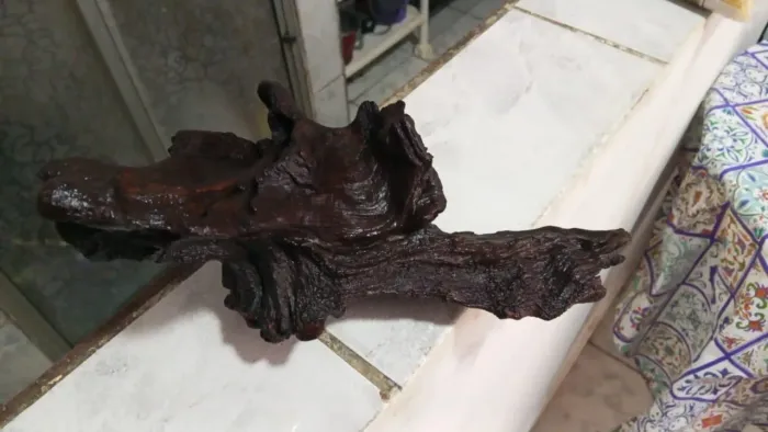 Vendo um tronco de aroeira tratado novo nunca usado
