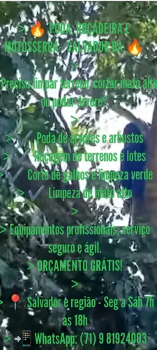 Podas gerais