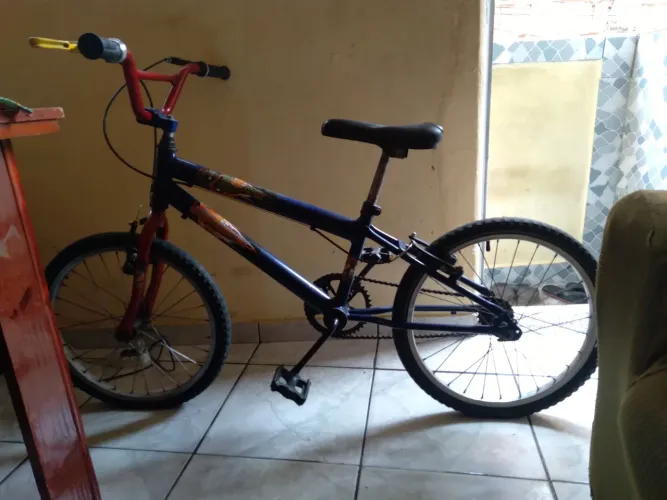 Bicicleta