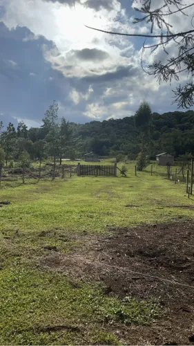 Vendo ou troco timo terreno de 1 alqueire em Rio Negro pr