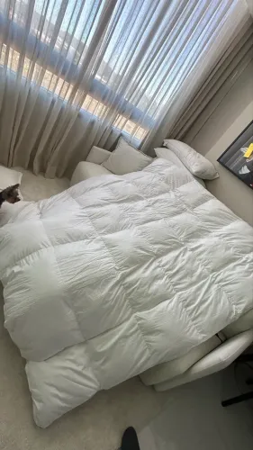 Pillow top King Size