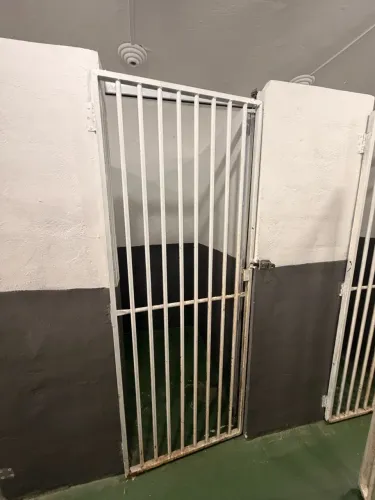 Portão 1.90 por 72