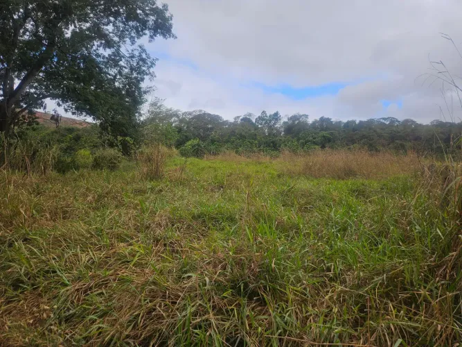 Chácara a venda a 13 km de gv.