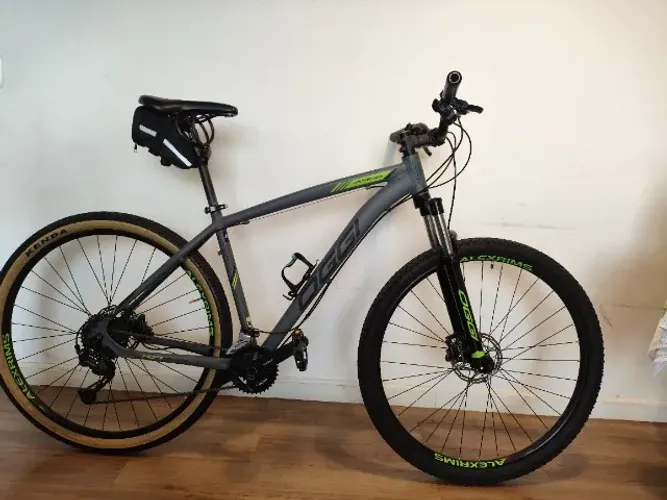 Bicicleta Oggi Aro 29