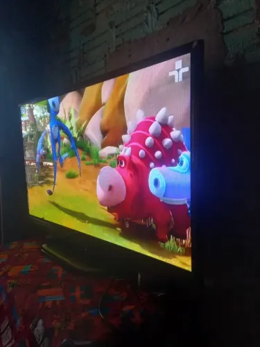 Televisão