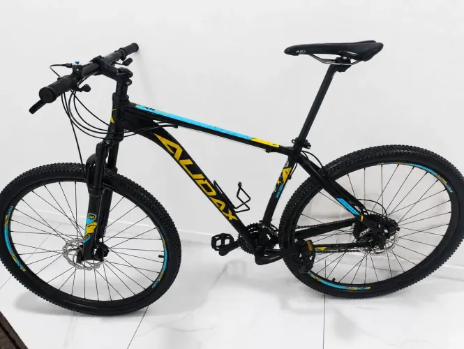Bike Audax 29