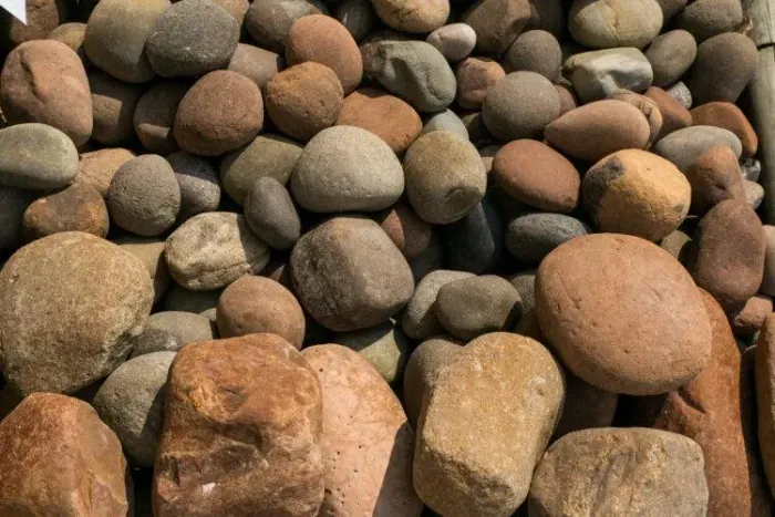 Pedras jardim Seixos