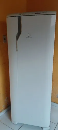 Electrolux RFE39 Frost Free