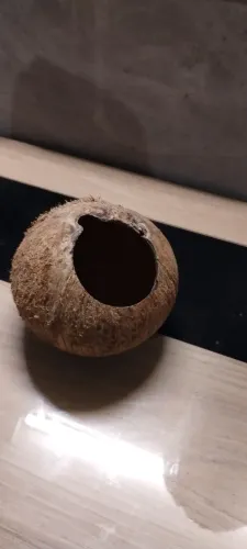 Casinha de côco para Hamster 