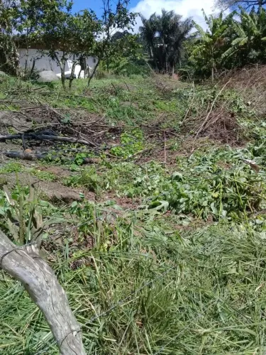 Vendo terreno na serra negra