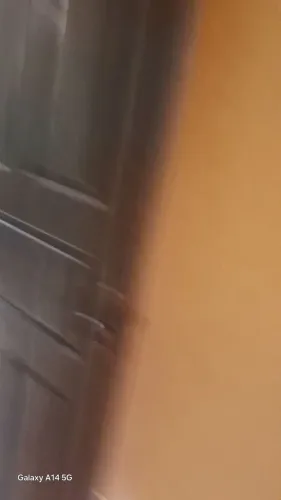Vendo uma porta se pau darco